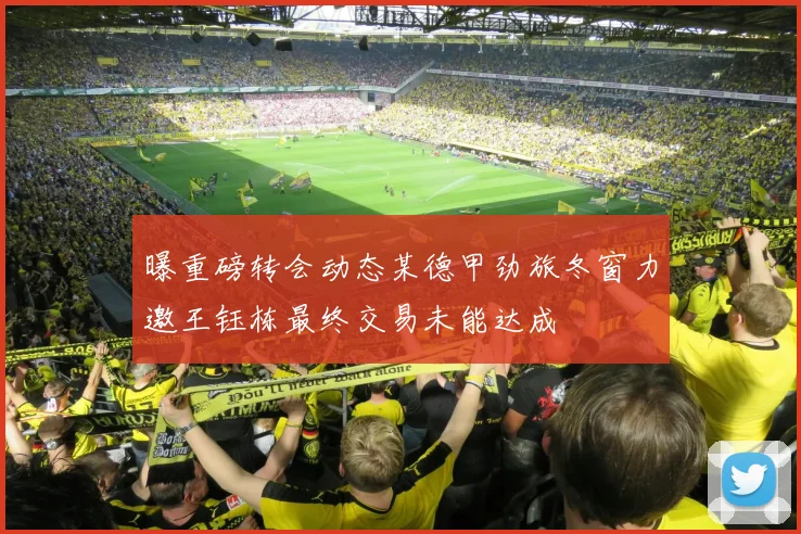 曝重磅转会动态某德甲劲旅冬窗力邀王钰栋最终交易未能达成